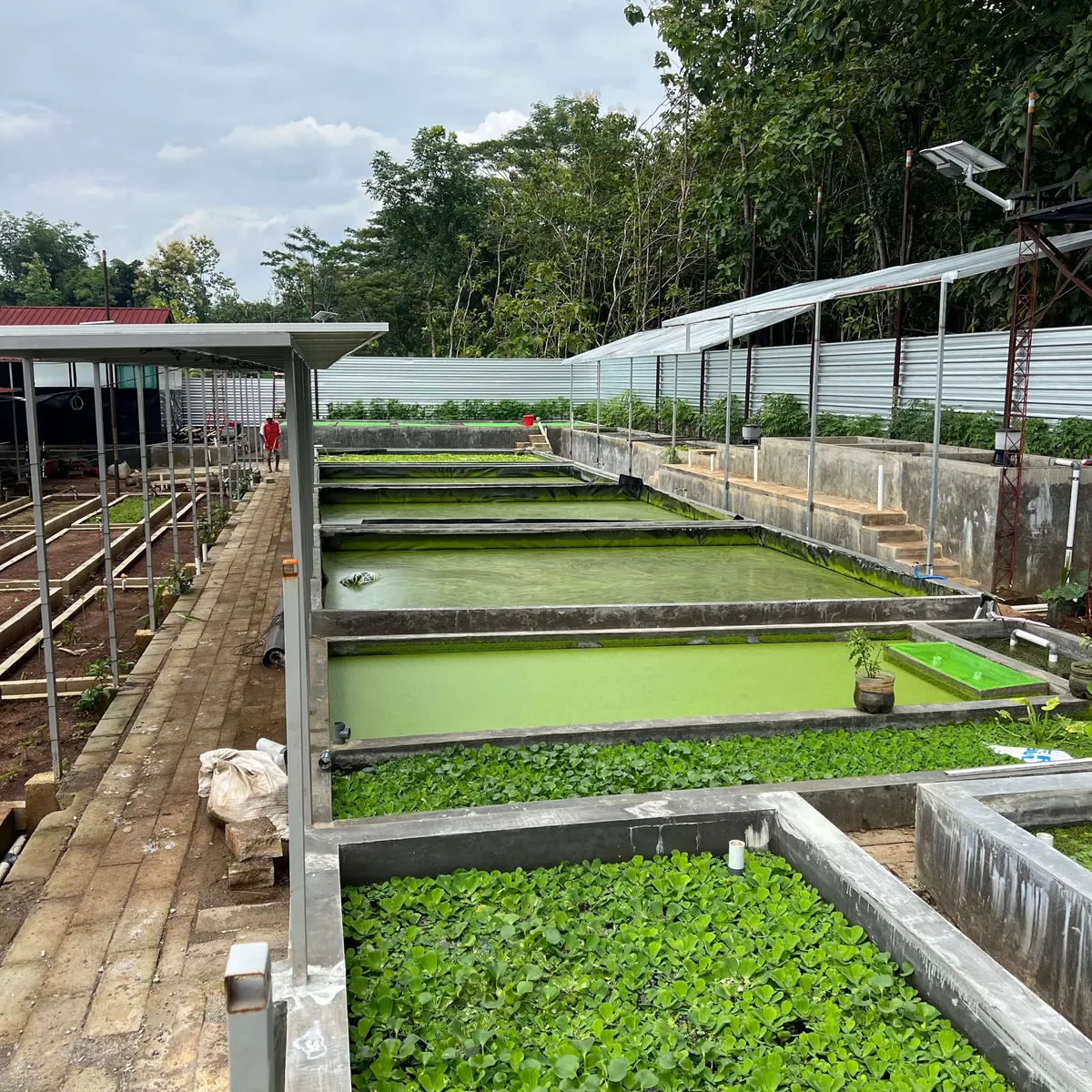 INTEGRATED FARM - Image 2