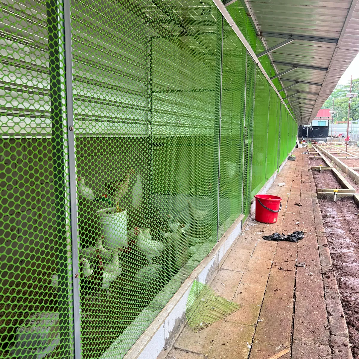 INTEGRATED FARM - Image 3