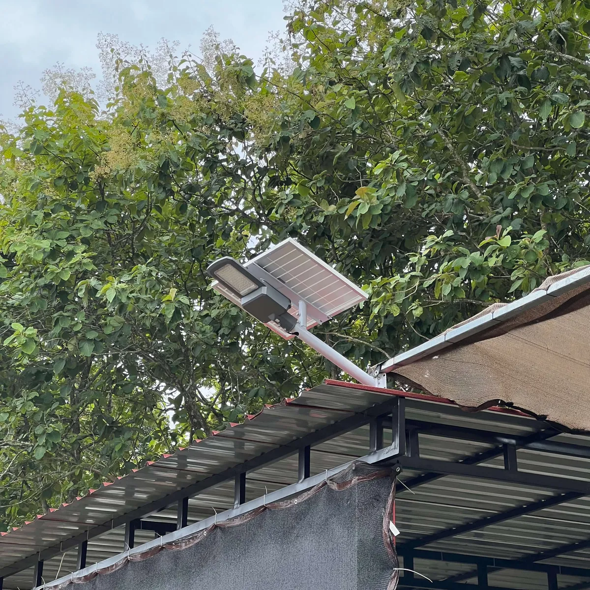 PJUTS AREA - Image 2